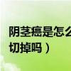 阴茎癌是怎么引起的能治好(阴茎癌要把阴茎切掉吗) 阴茎癌是怎么引起的能治好(阴茎癌要把阴茎切掉吗)