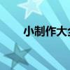 小制作大全 步骤（小制作大全过程）
