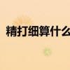 精打细算什么意思?（精打细算是什么意思）