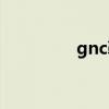 gnc鞋是什么牌子（gnc）