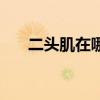 二头肌在哪个位置图片（二头肌在哪）