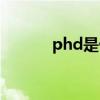 phd是什么学位（phd是什么）