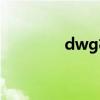 dwg格式文件（dwg格式）