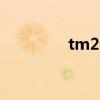 tm2007beta（tm2007）