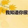 我知道你很难过歌词（我知道你很难过）