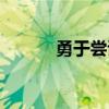 勇于尝试的意思（尝试的意思）