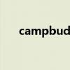 campbuddy3.0汉化版下载（camp）