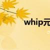 whip元素（v元素s的个人空间）