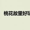 桃花故里好玩吗(桃花故里什么时候去好) 桃花故里好玩吗(桃花故里什么时候去好)