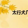 太行犬几个月停止生长（太行犬）