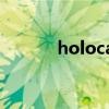 holocaust翻译（holocaust）