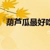 葫芦瓜最好吃的做法（葫芦瓜的做法大全）