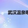 武汉温泉哪里好玩又便宜（武汉温泉）