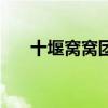 十堰窝窝团燕良大酒店（十堰窝窝团）