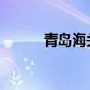 青岛海关 待遇（青岛海关待遇）
