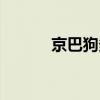 京巴狗多少元（京巴狗多少钱）