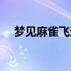 梦见麻雀飞进屋里什么预兆(梦见麻雀) 梦见麻雀飞进屋里什么预兆(梦见麻雀)