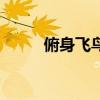 俯身飞鸟用多大重量（俯身飞鸟）