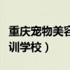 重庆宠物美容培训学校排名（重庆宠物美容培训学校）