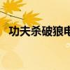 功夫杀破狼电影国语在线看（功夫杀破狼）