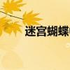 迷宫蝴蝶中文翻唱（迷宫蝴蝶歌词）