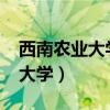 西南农业大学录取分数线2023年（西南农业大学）