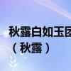 秋露白如玉团团下庭绿我行忽见之寒早悲岁促（秋露）