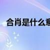合肖是什么意思是什么（合肖是什么意思）