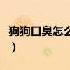 狗狗口臭怎么解决最有效（狗狗口臭怎么解决）