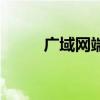 广域网端口是什么（广域网端口）
