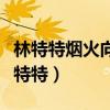 林特特烟火向星辰所愿皆成真内容是什么（林特特）