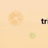 tribal 翻译（tribal）