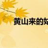 黄山来的姑娘演员表（黄山来的姑娘）