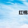 红棉服装批发市场（红棉）