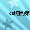 csi纽约第六季水泥（csi纽约第六季）