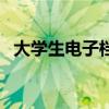 大学生电子档案是什么（大学生电子档案）