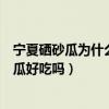 宁夏硒砂瓜为什么近年来又要退出这种种植方式（宁夏硒砂瓜好吃吗）