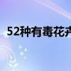 52种有毒花卉图片及名称（52种有毒花卉）