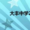 大丰中学2022高考成绩（大丰中学）