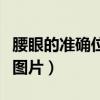 腰眼的准确位置图片及功效（腰眼的准确位置图片）