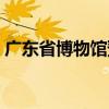 广东省博物馆预约（广东省博物馆开放时间）
