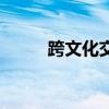 跨文化交际知识点（跨文化交际）