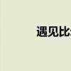 遇见比尔百度网盘（遇见比尔）