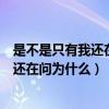 是不是只有我还在问为什么明天更精彩歌词（是不是只有我还在问为什么）