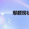 鄢颇现状任妻子（鄢颇个人资料）