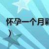 怀孕一个月彩超单子（怀孕一个月彩超报告单）