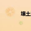 壤土渗水性怎么样（壤土）