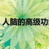 人脑的高级功能学情分析（人脑的高级功能）