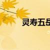 灵寿五岳寨风景区（灵寿五岳寨）