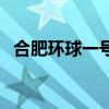 合肥环球一号至尊会地址（合肥环球一号）